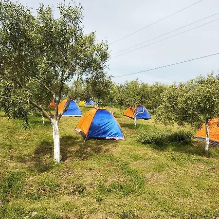 Campingplatz Camping Vumlo *